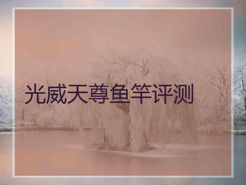 光威天尊鱼竿评测