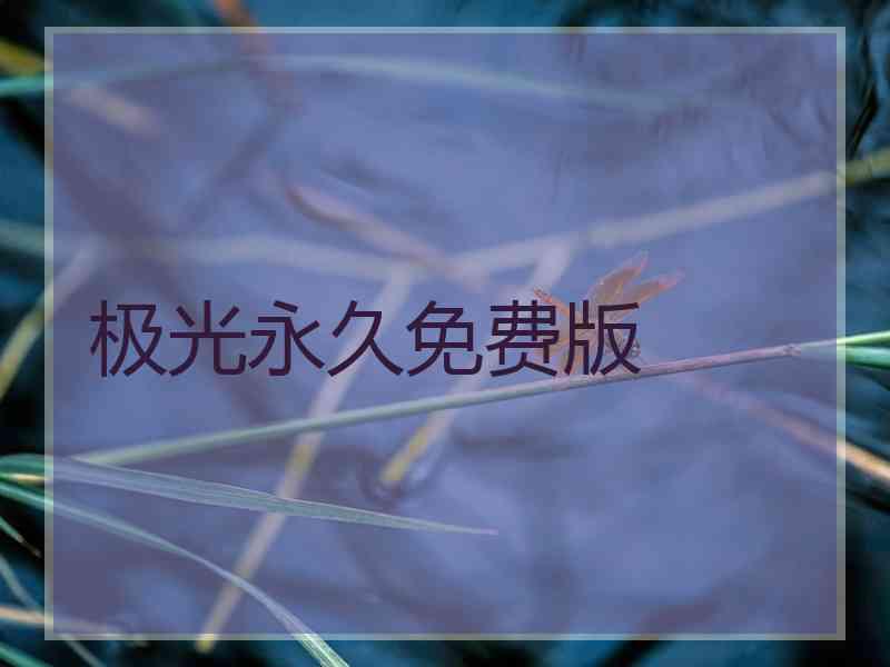 极光永久免费版