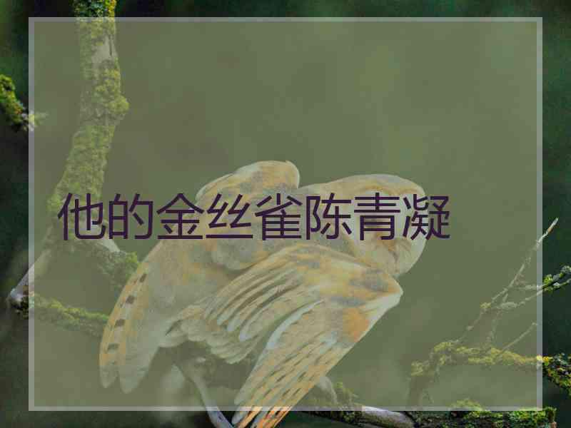他的金丝雀陈青凝