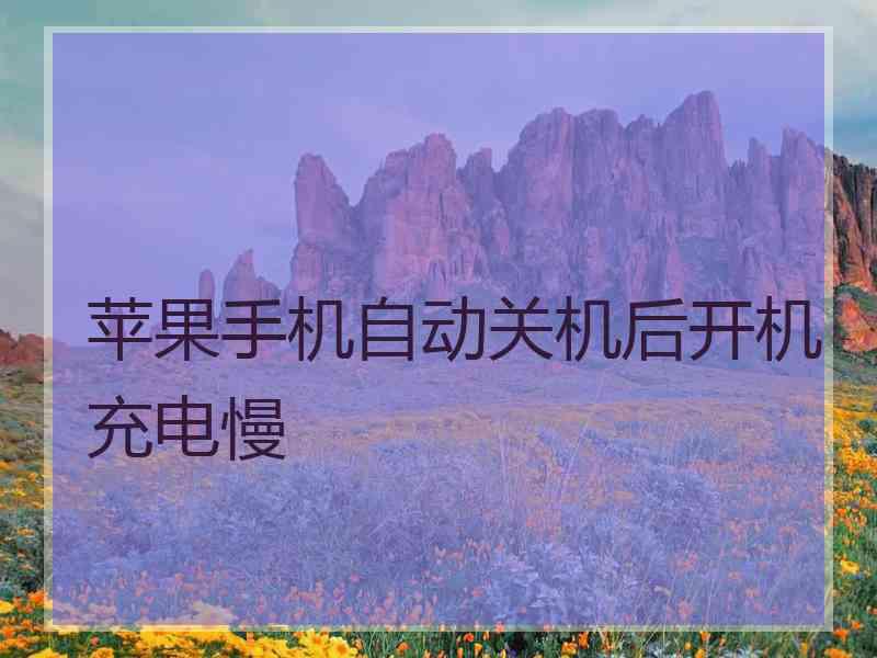 苹果手机自动关机后开机充电慢