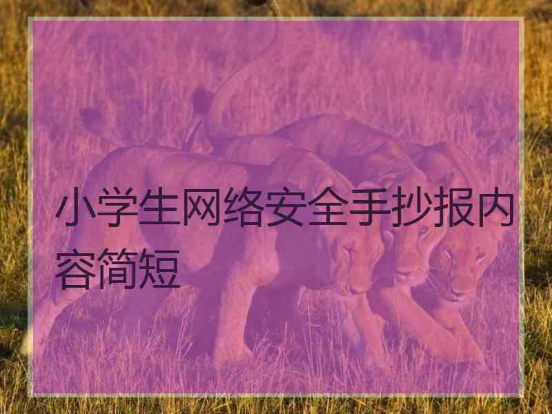 小学生网络安全手抄报内容简短