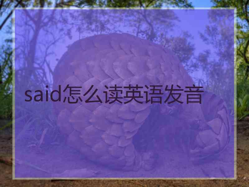 said怎么读英语发音