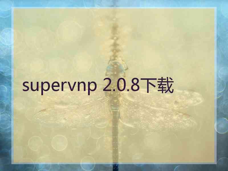 supervnp 2.0.8下载