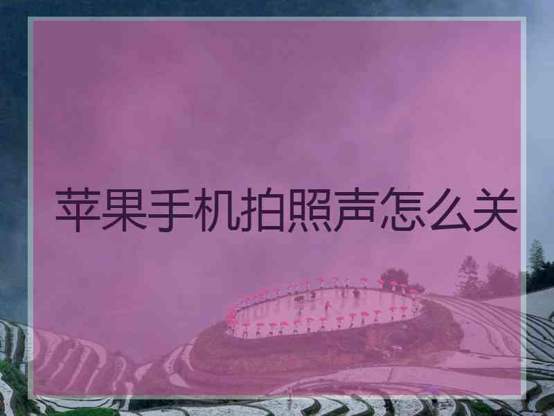 苹果手机拍照声怎么关