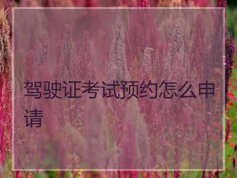 驾驶证考试预约怎么申请