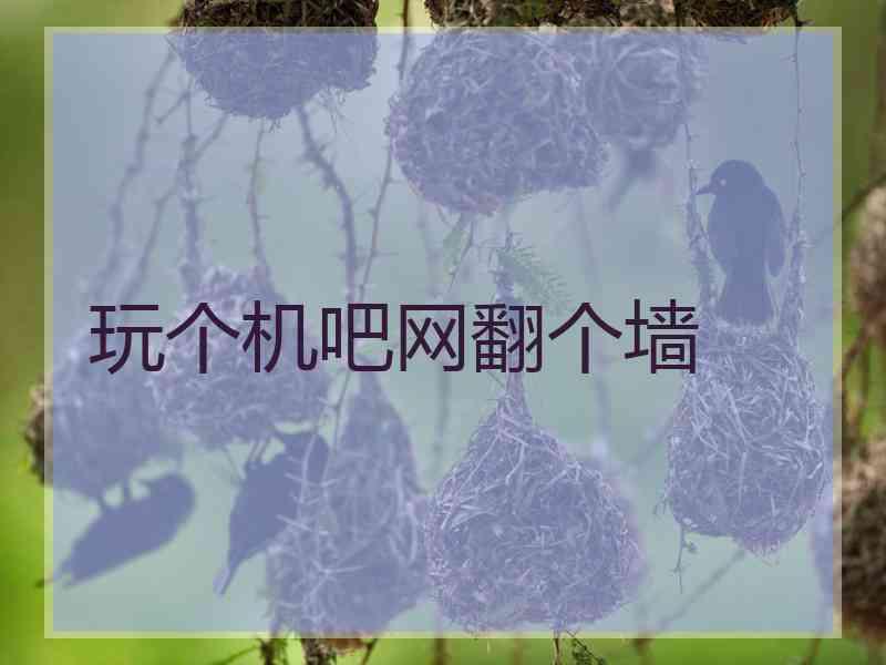 玩个机吧网翻个墙