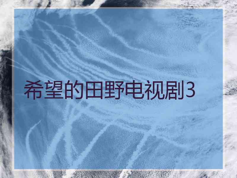 希望的田野电视剧3