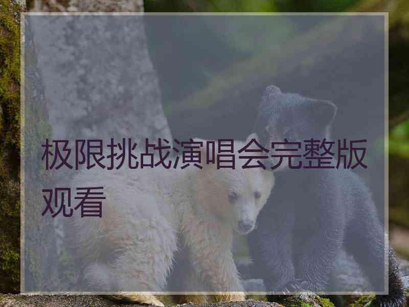 极限挑战演唱会完整版观看