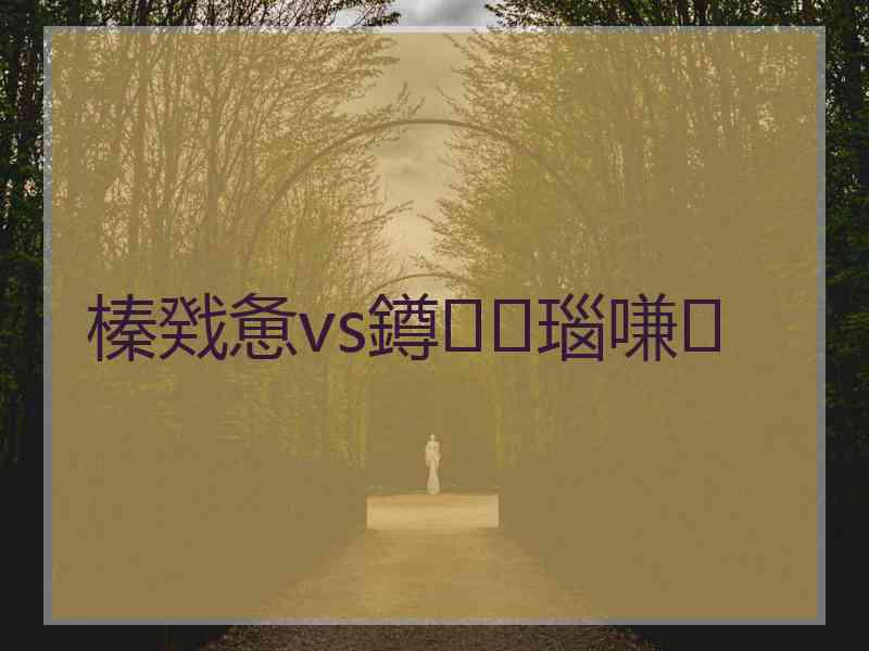 榛戣惫vs鐏瑙嗛