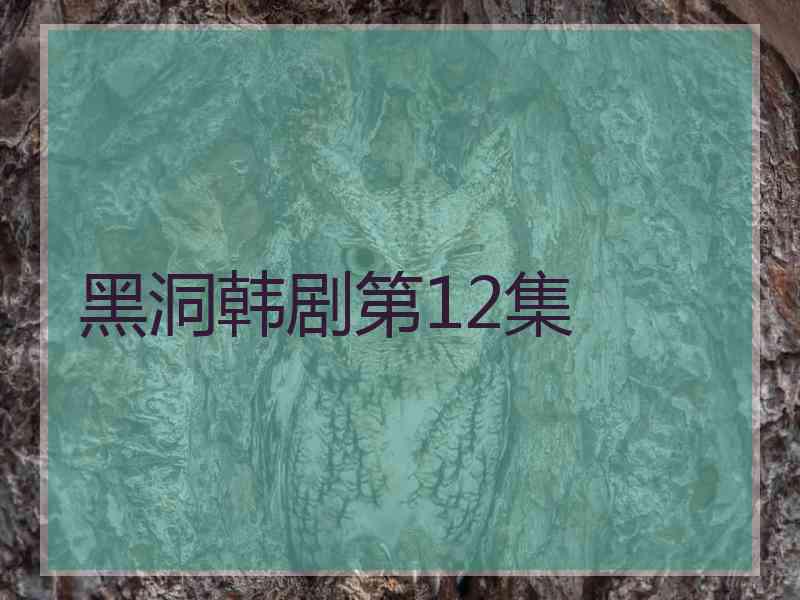 黑洞韩剧第12集