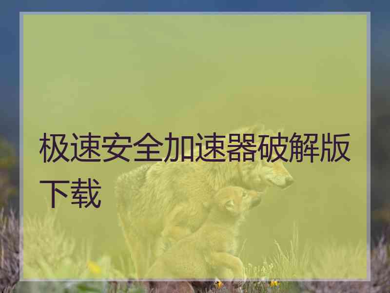 极速安全加速器破解版下载