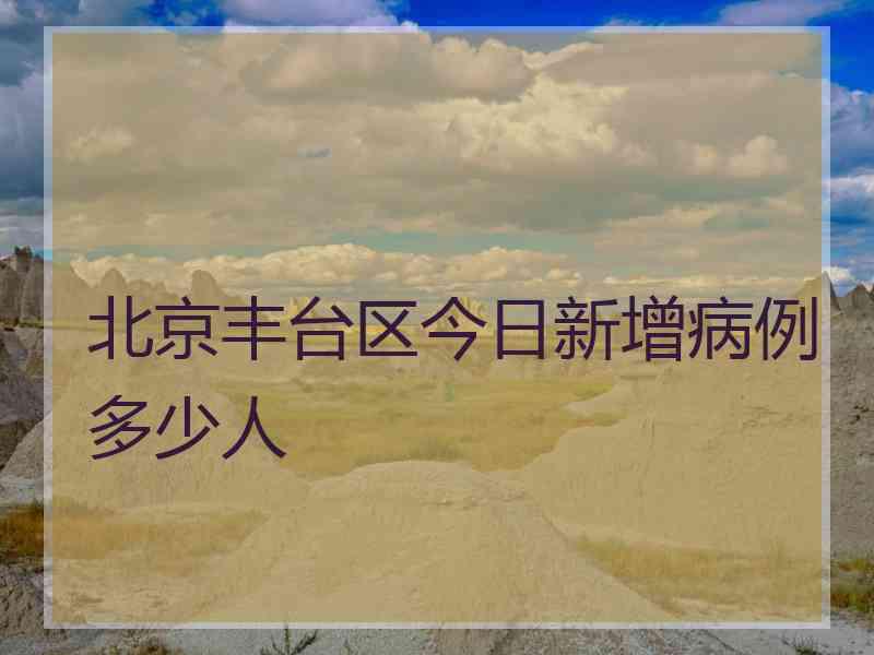 北京丰台区今日新增病例多少人