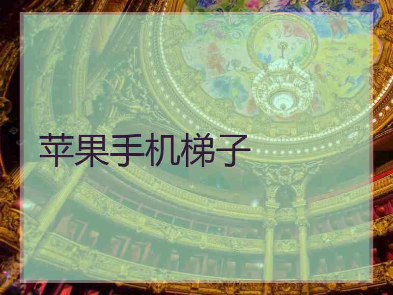 苹果手机梯子