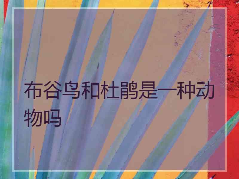 布谷鸟和杜鹃是一种动物吗