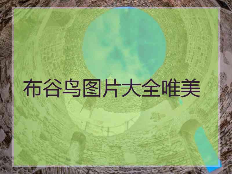 布谷鸟图片大全唯美