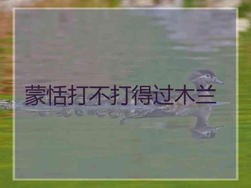 蒙恬打不打得过木兰