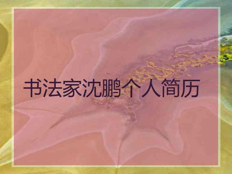 书法家沈鹏个人简历