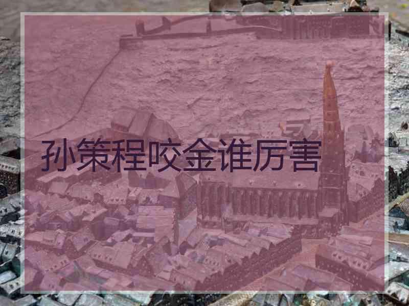 孙策程咬金谁厉害