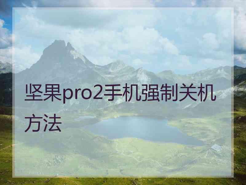 坚果pro2手机强制关机方法