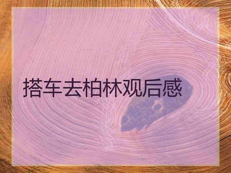 搭车去柏林观后感