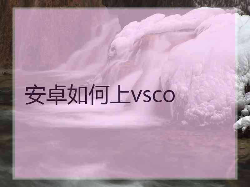 安卓如何上vsco