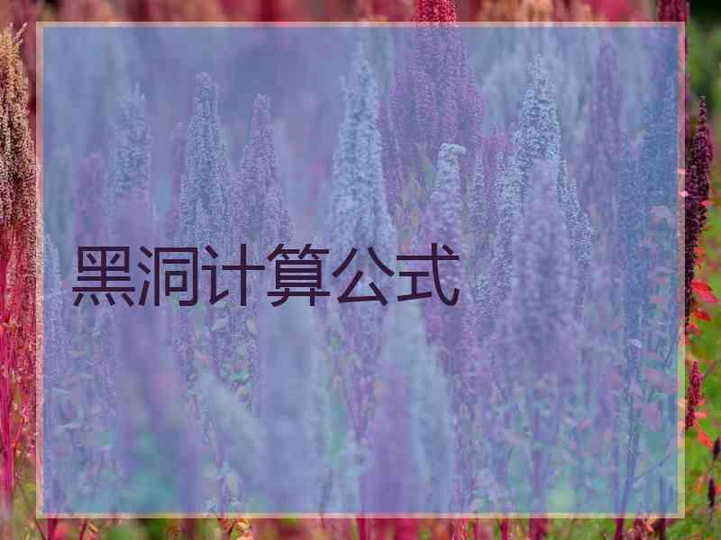 黑洞计算公式