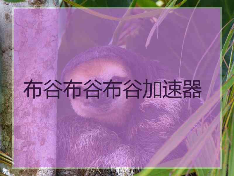 布谷布谷布谷加速器