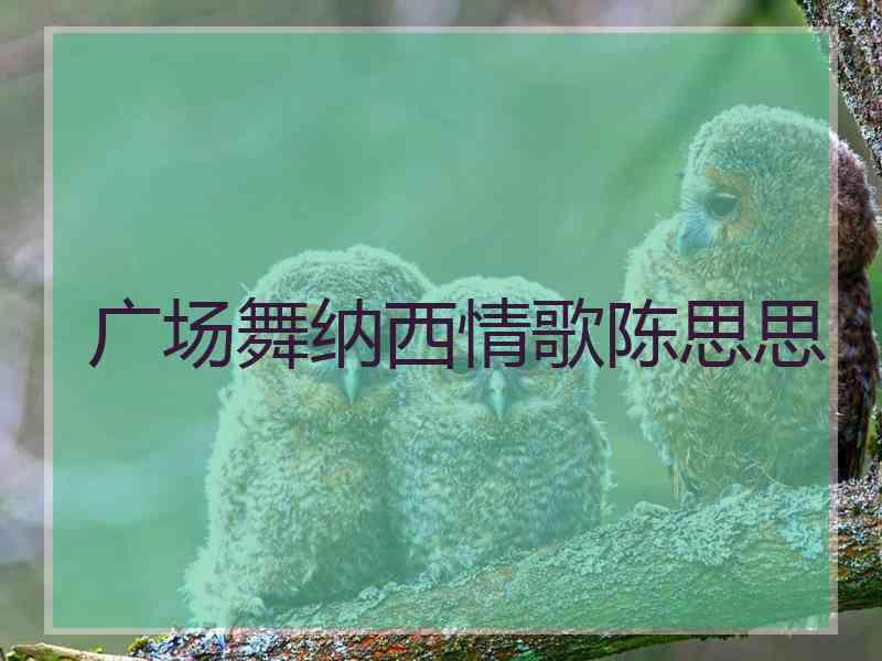 广场舞纳西情歌陈思思