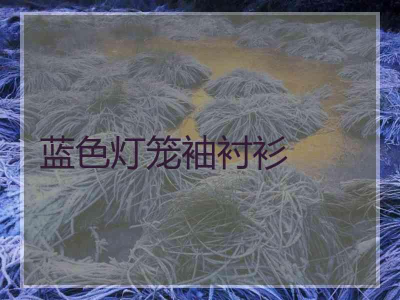 蓝色灯笼袖衬衫