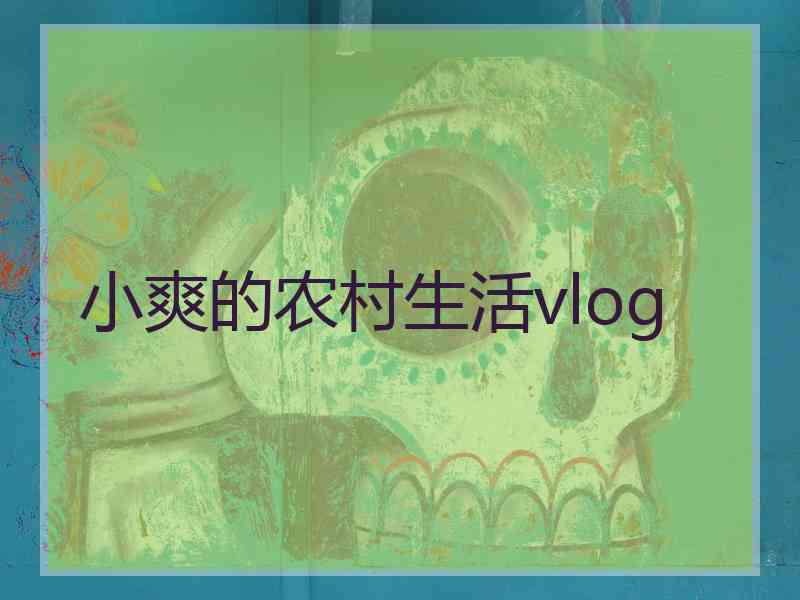 小爽的农村生活vlog