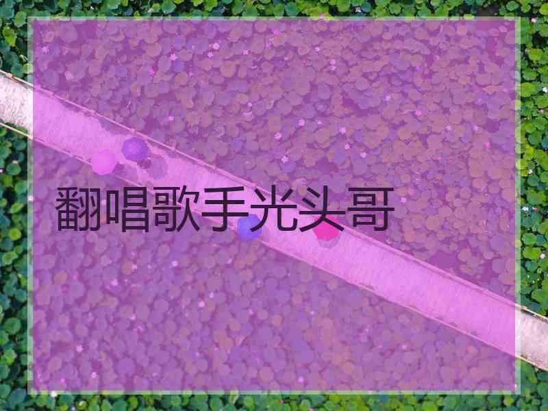 翻唱歌手光头哥