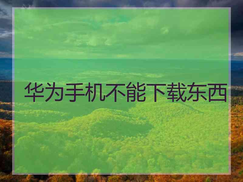 华为手机不能下载东西