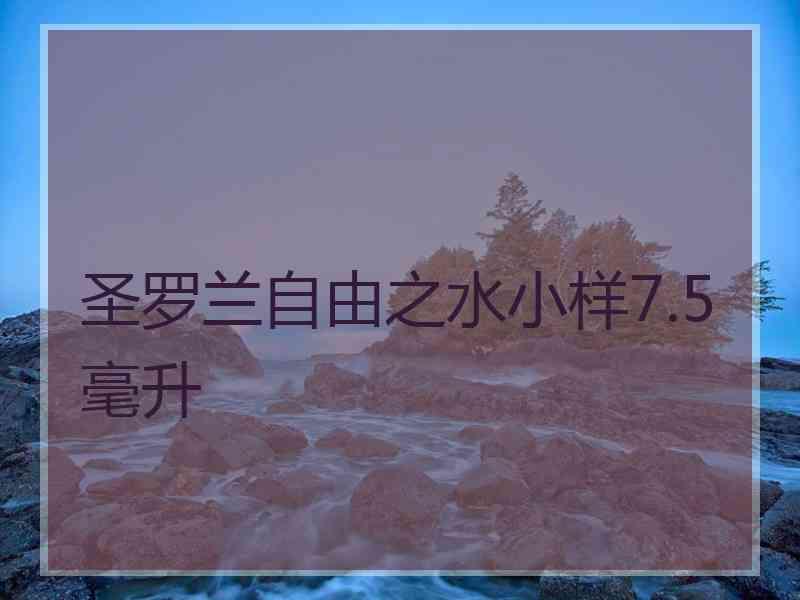 圣罗兰自由之水小样7.5毫升