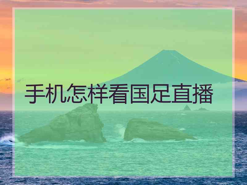 手机怎样看国足直播