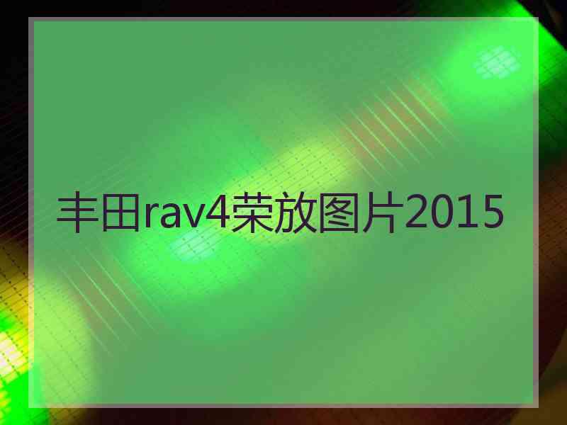 丰田rav4荣放图片2015