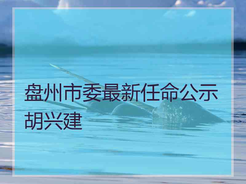 盘州市委最新任命公示胡兴建