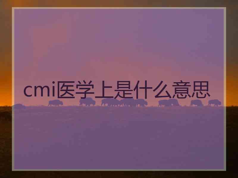 cmi医学上是什么意思