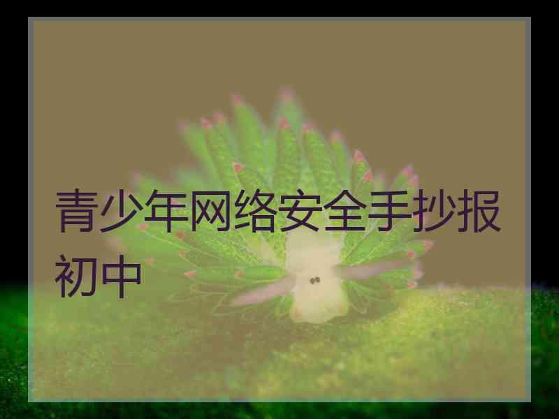 青少年网络安全手抄报初中