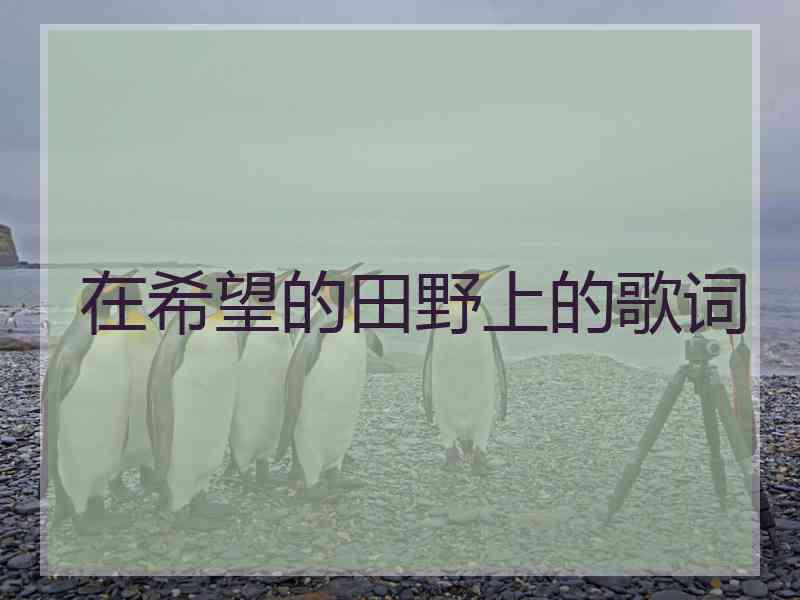 在希望的田野上的歌词