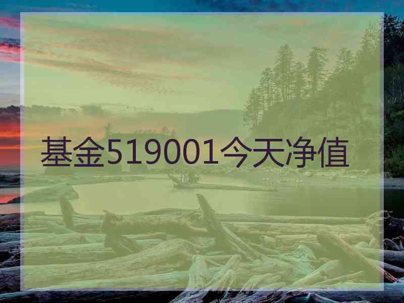 基金519001今天净值