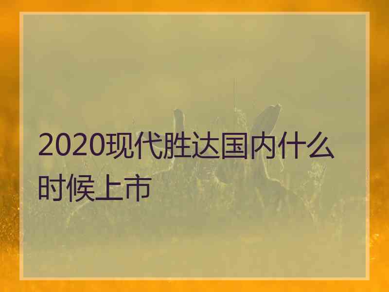 2020现代胜达国内什么时候上市