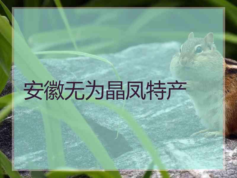 安徽无为晶凤特产