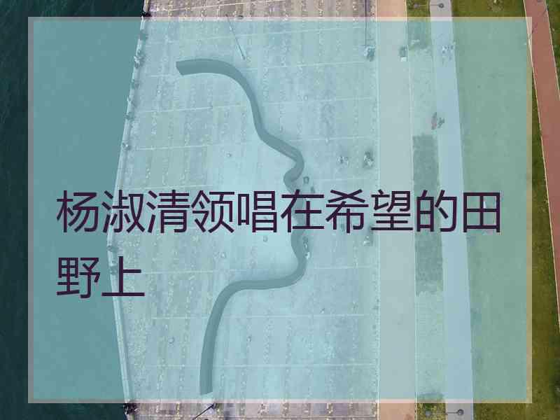 杨淑清领唱在希望的田野上