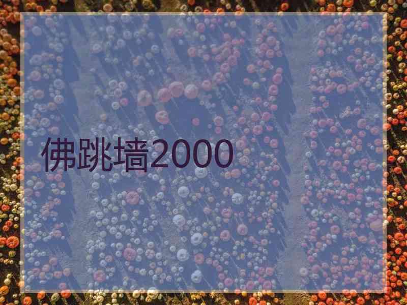 佛跳墙2000