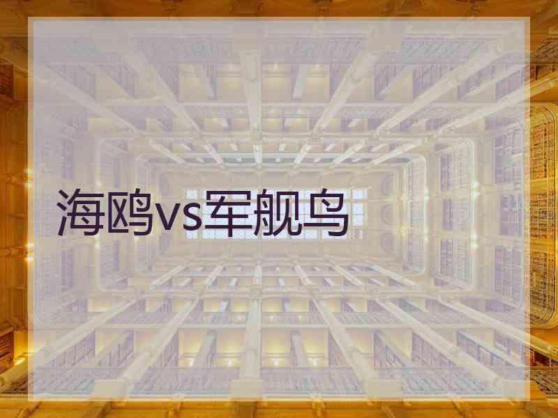 海鸥vs军舰鸟