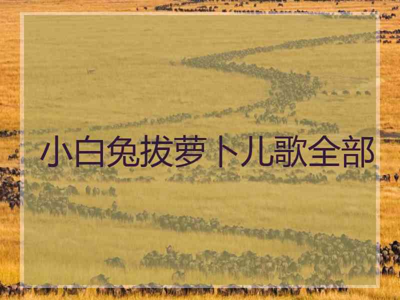 小白兔拔萝卜儿歌全部