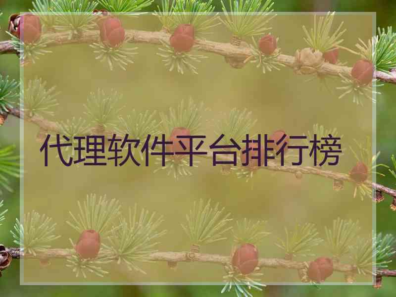 代理软件平台排行榜