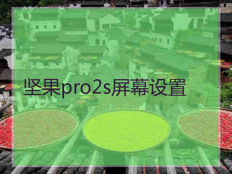 坚果pro2s屏幕设置