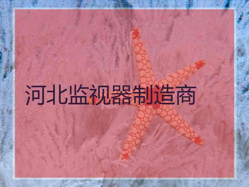 河北监视器制造商