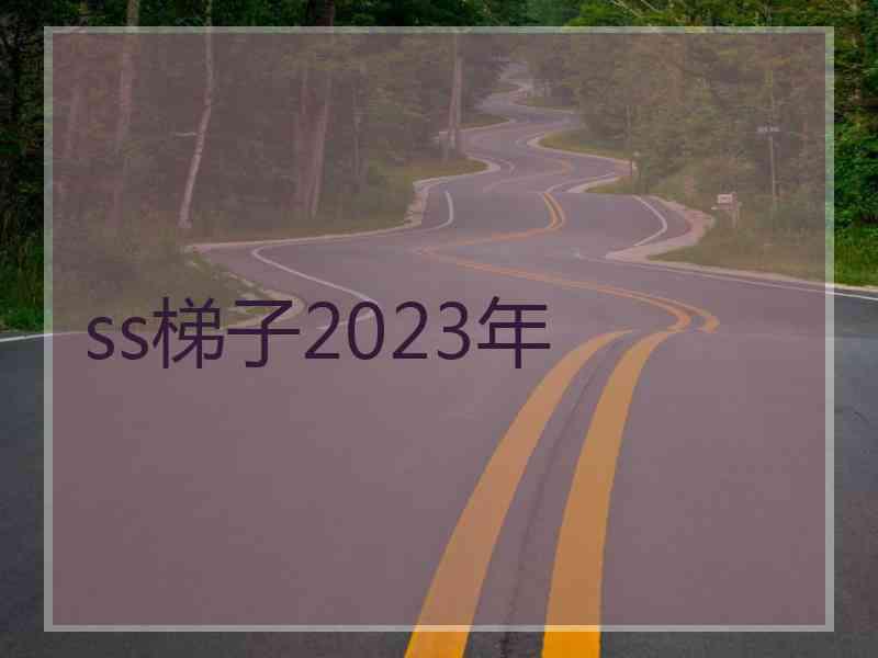 ss梯子2023年